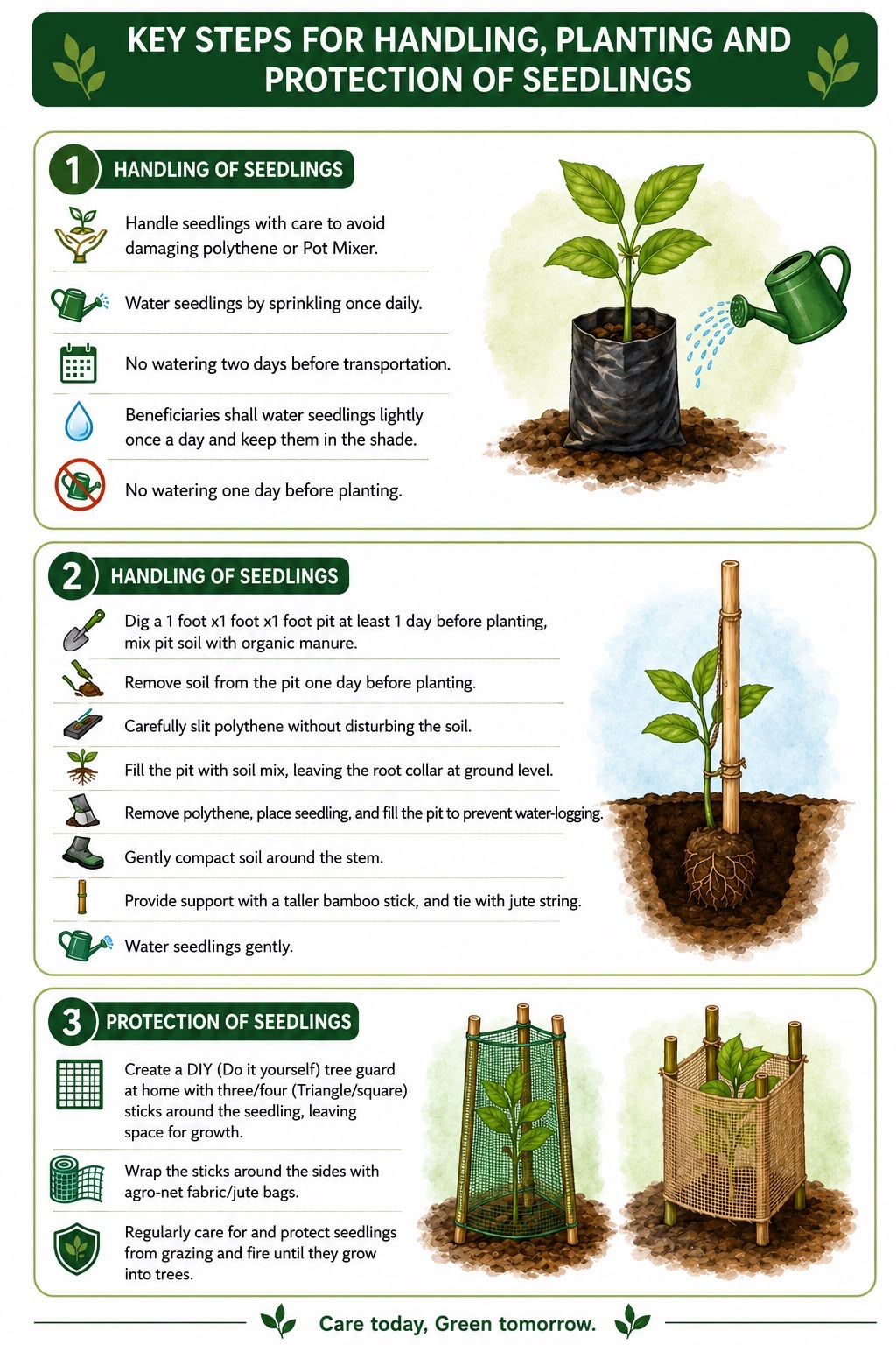 Key steps for handling, planting and protection of seedlings